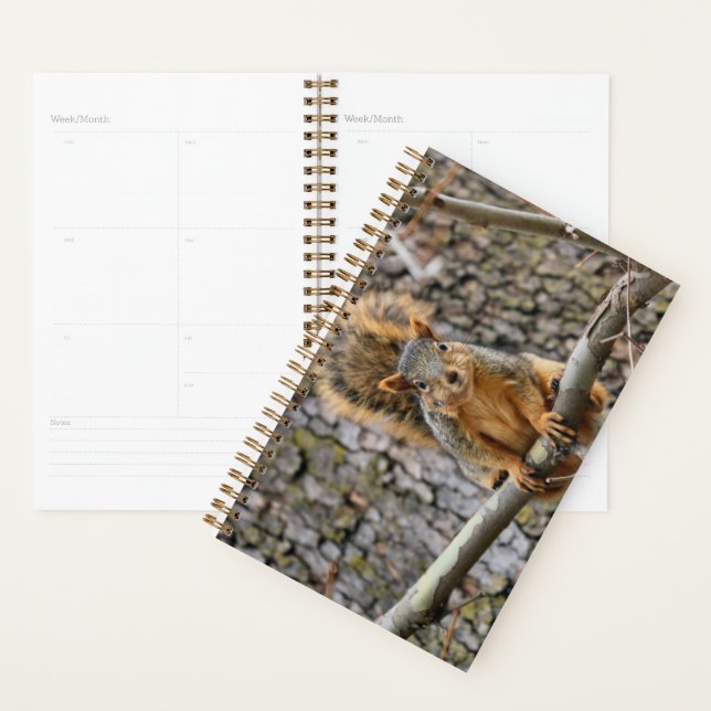 Faux fox squirrel planner (Display)