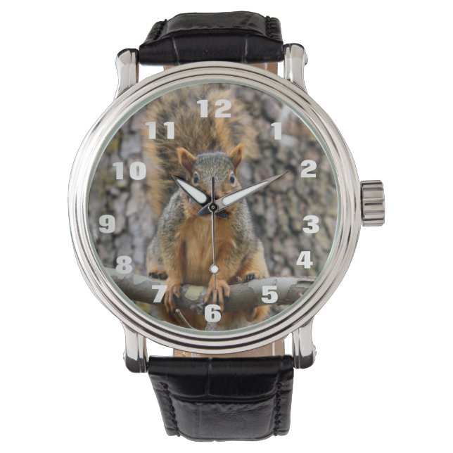 Faux fox Squirrel  Watch (Front)