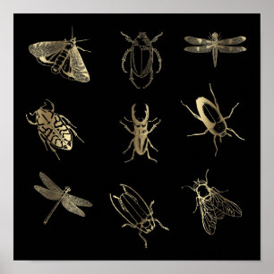 faux gold foil bugs on black poster