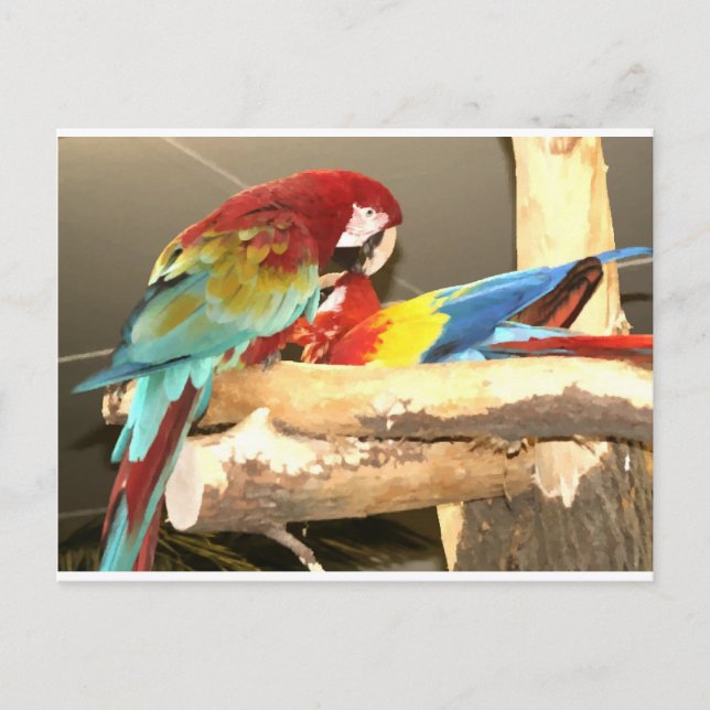 Faux Painted Parrot Postcard (Front)