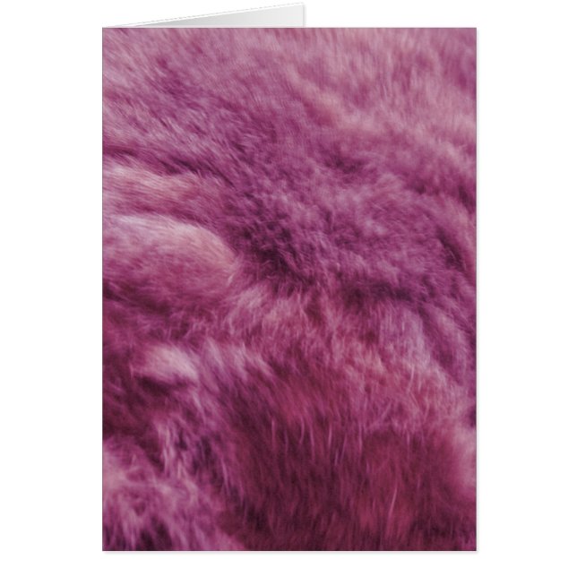 Faux Pink Cat Fur (Front)
