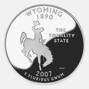 Faux Wyoming State Quarter Classic Round Sticker