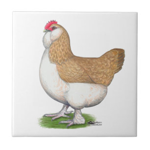 Faverolle Hen Ceramic Tile