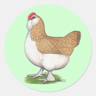 Faverolle Hen Classic Round Sticker