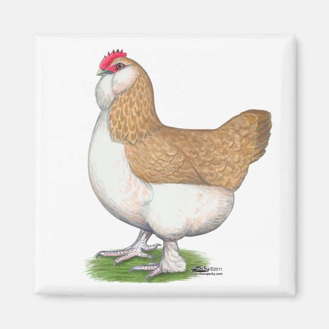 Faverolle Hen Magnet (Front)
