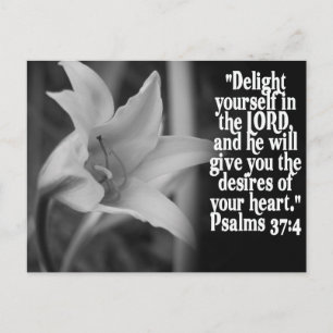 FAVORITE  BIBLE SCRIPTURE PSALM 37:4 POSTCARD