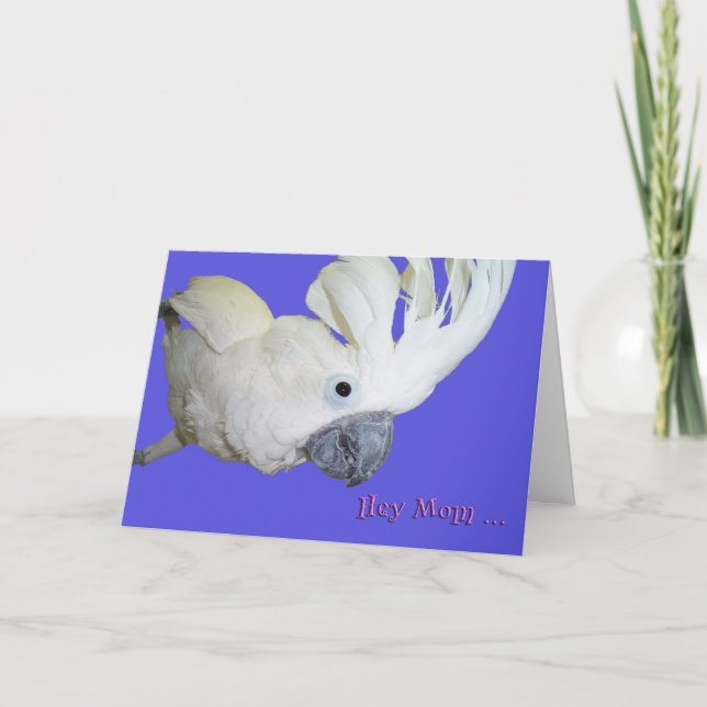 Favorite Card (Front)