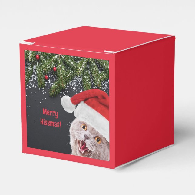 Favour Box, Merry Hissmas  Box (Front Side)