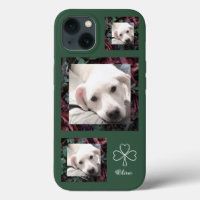 Favourite 3 Lucky Photos of Cute Dog Shamrocks