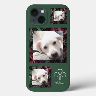 Favourite 3 Lucky Photos of Cute Dog Shamrocks iPhone 13 Case