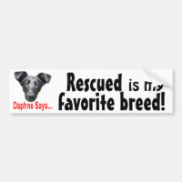 Favourite breed