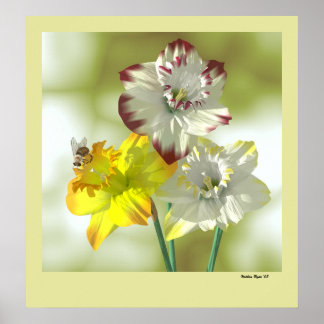 Favourite Colour Poster