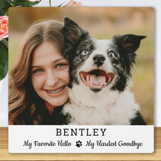 Favourite Hello Custom Dog Photo Pet Memorial Plaque (Creator Uploaded)