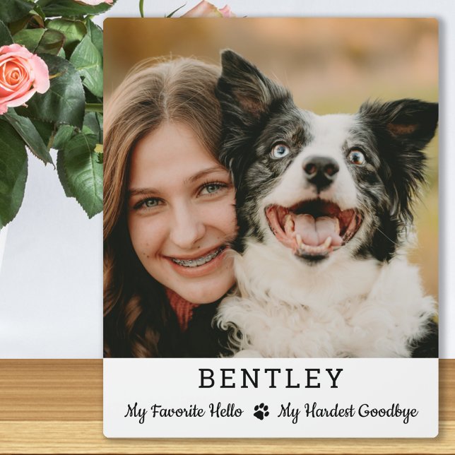 Favourite Hello Custom Photo Pet Dog Memorial Plaque (Creator Uploaded)