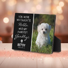 Favourite Hello | Hardest Goodbye Pet Memorial