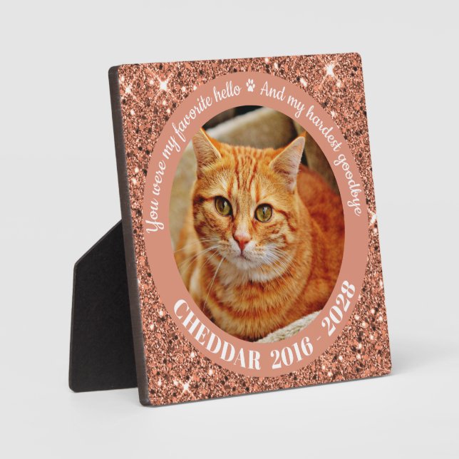 Favourite Hello Hardest Goodbye Rose Gold Pet Phot Plaque (Front)