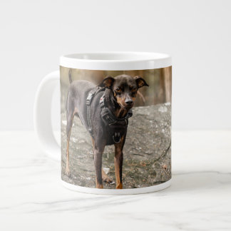 Favourite Pet Photo Personalised Dog Cat Portrait Large Coffee Mug