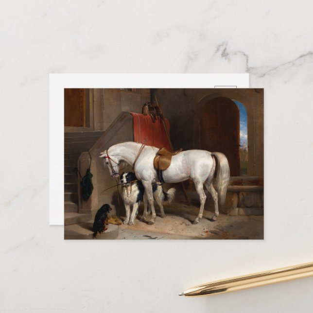 Favourites, Property of Prince George of Cambridge Holiday Postcard (Front/Back In Situ)