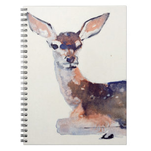 Fawn 2003 notebook