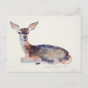 Fawn 2003 postcard