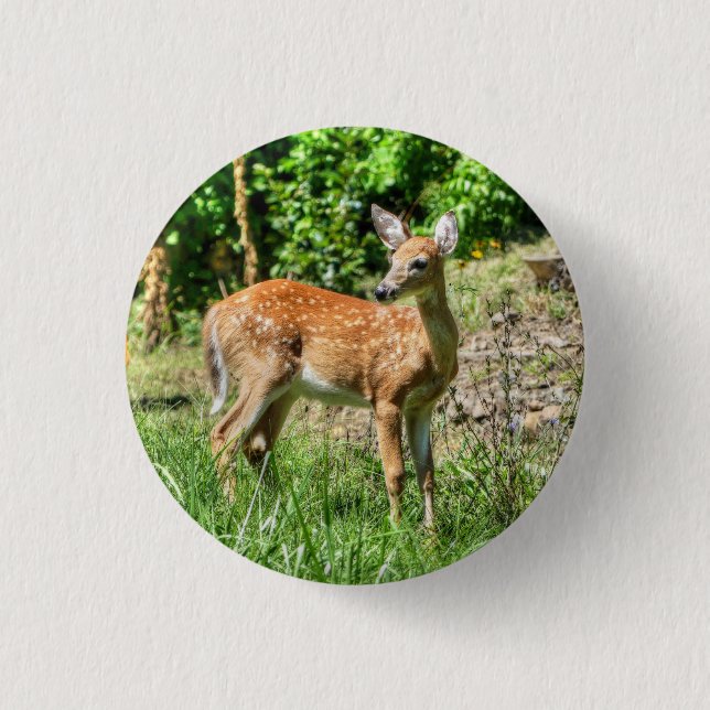 Fawn  3 cm round badge (Front)