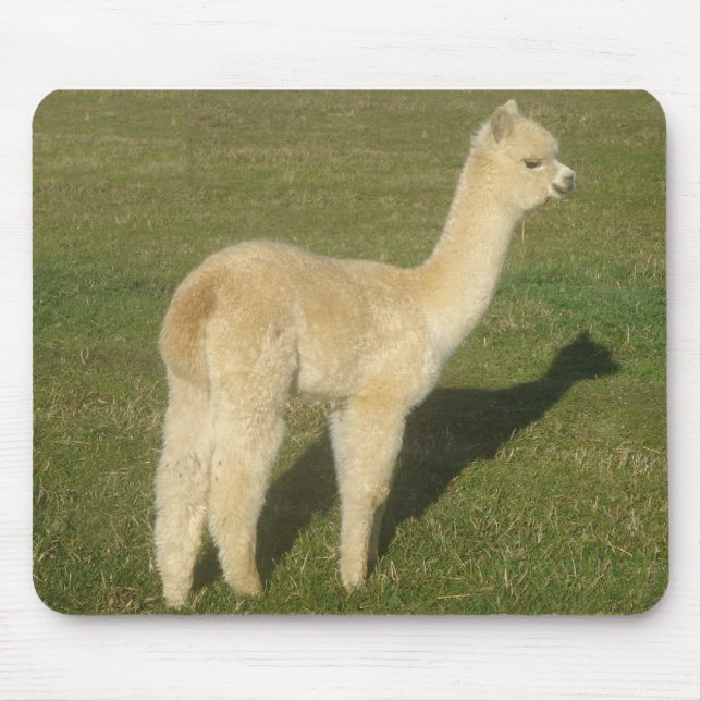 Fawn alpaca mouse pad (Front)