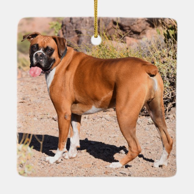 Fawn and White Boxer Puppy Dog Ceramic Ornament (Back)