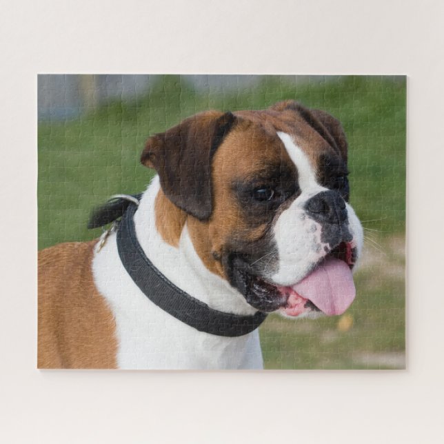 Fawn and White Boxer Puppy Dog Jigsaw Puzzle (Horizontal)