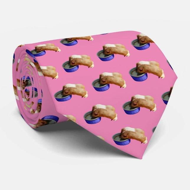 Fawn And White Guinea Pigs, Tie (Rolled)