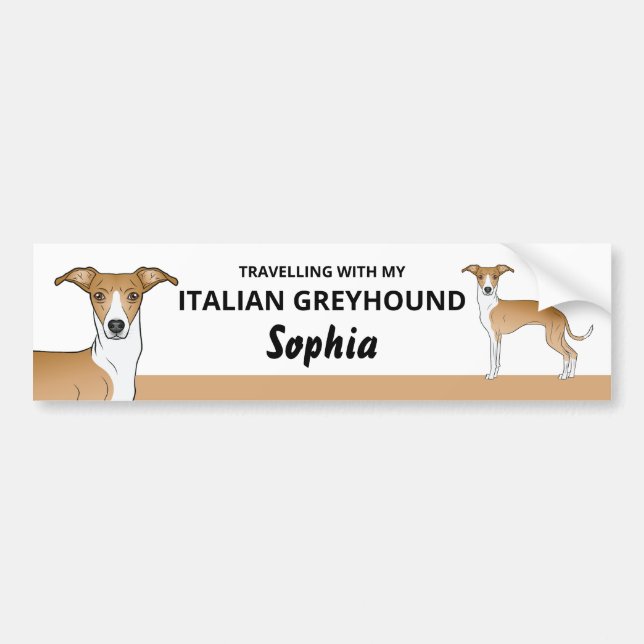 Fawn And White - Traveling With My Iggy Dog Bumper Sticker (Front)