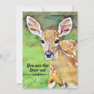 Fawn Baby Deer Dear Pun