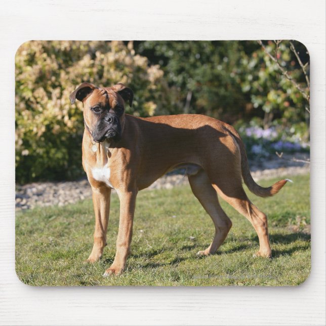 Fawn Boxer Dog Standing Mouse Pad (Front)