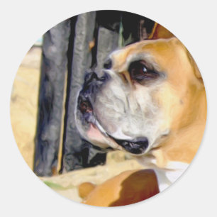 Fawn Boxer Dog stickers