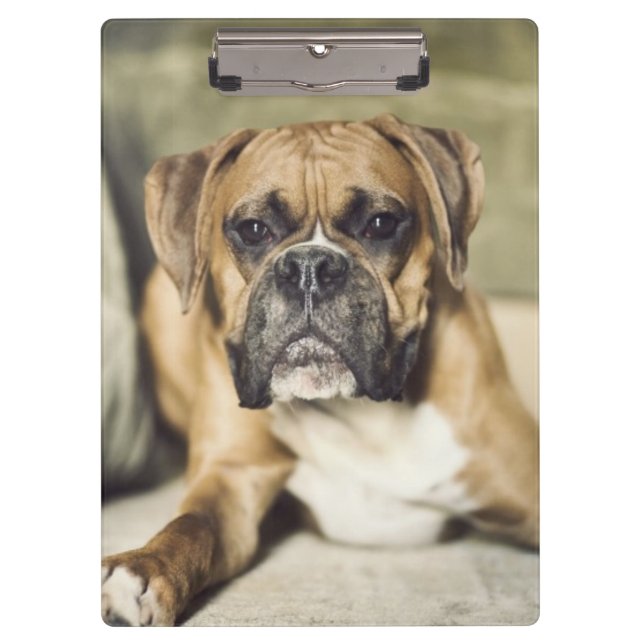 Fawn Boxer Pup Clipboard (Front)