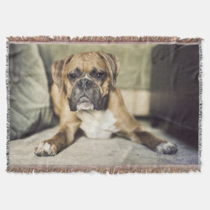 Fawn Boxer Pup Throw Blanket