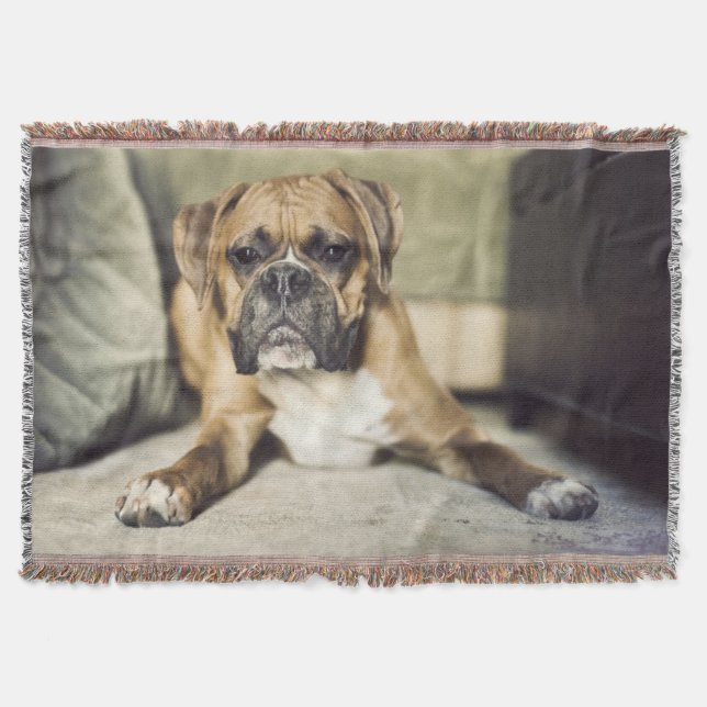 Fawn Boxer Pup Throw Blanket (Front)