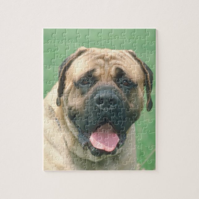Fawn Bullmastiff Dog Puzzle (Vertical)