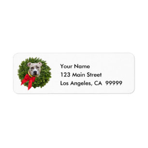 Fawn Coloured PitBull in Christmas Wreath & Red Return Address Label