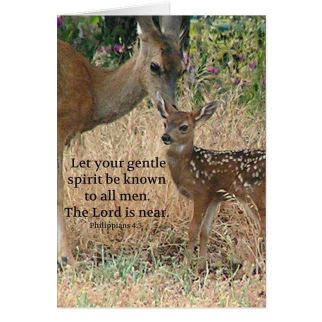 Fawn Deer Nature Wildlife Christian Creationarts (Front)