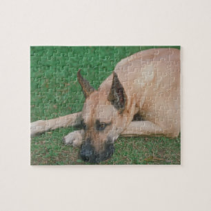 Fawn Great Dane Dog Puzzle
