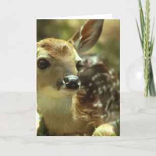 Fawn Greeting Card