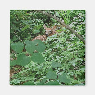 FAWN in Green Heart Leaves --- Magnet