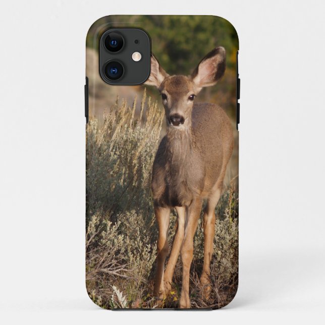 Fawn iPhone 5 Case-Mate iPhone Case (Back)