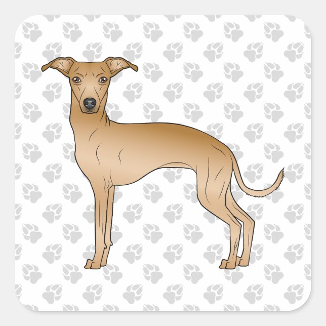 Fawn Italian Greyhound Cute Cartoon Dog With Paws Square Sticker (Front)