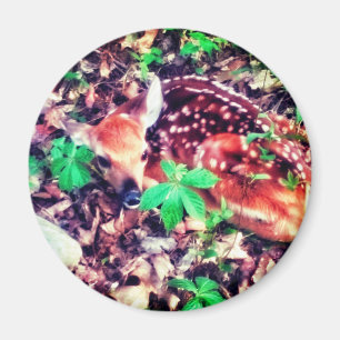 FAWN MAGNET