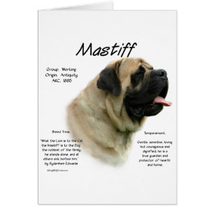 Fawn Mastiff History