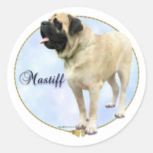 Fawn Mastiff Portrait Sticker