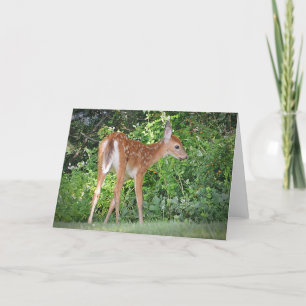 Fawn Notecard