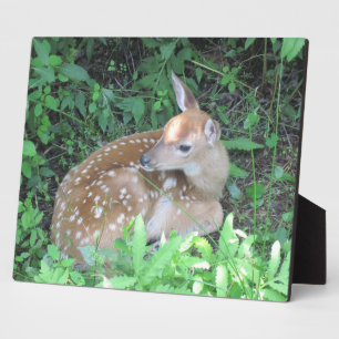 Fawn Plaque