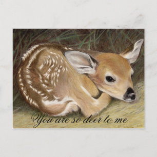 Fawn Postcard